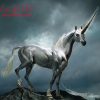 Unicorn là gì – Tại sao lại trở thành biểu tượng của khởi nghiệp?