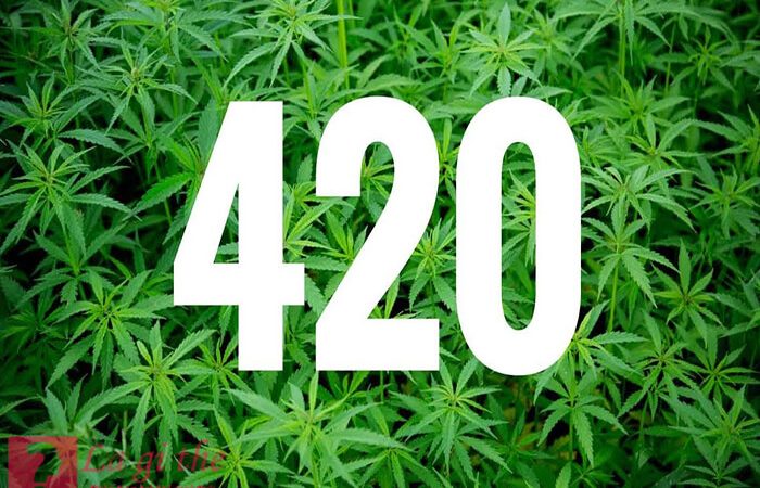 Nguồn gốc ra đời và ý nghĩa thật sự của con số 420 là gì?