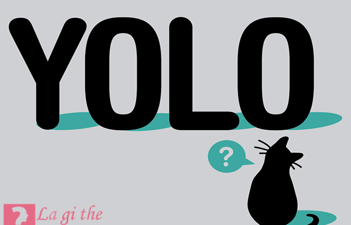 Yolo là gì – Viết tắt của chữ nào và mang ý nghĩa ra sao