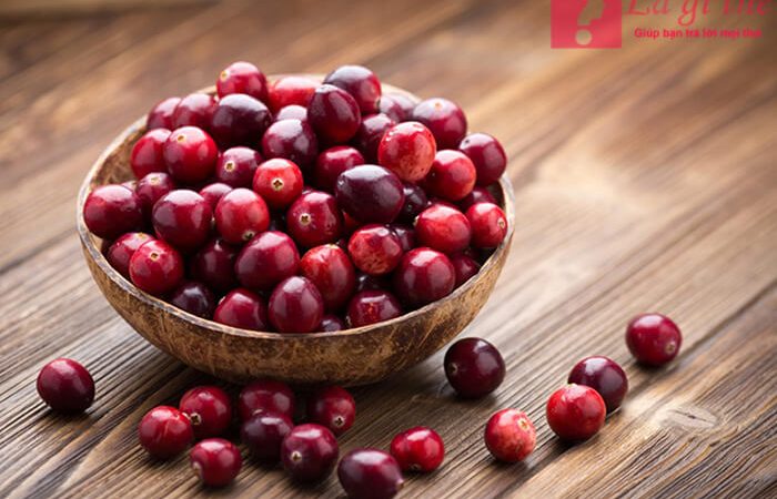 Cranberry là quả gì, có mang lại lợi ích gì cho sắc đẹp hay không