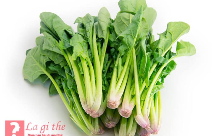 Spinach là rau gì – Những lợi ích tuyệt vời của loại rau này