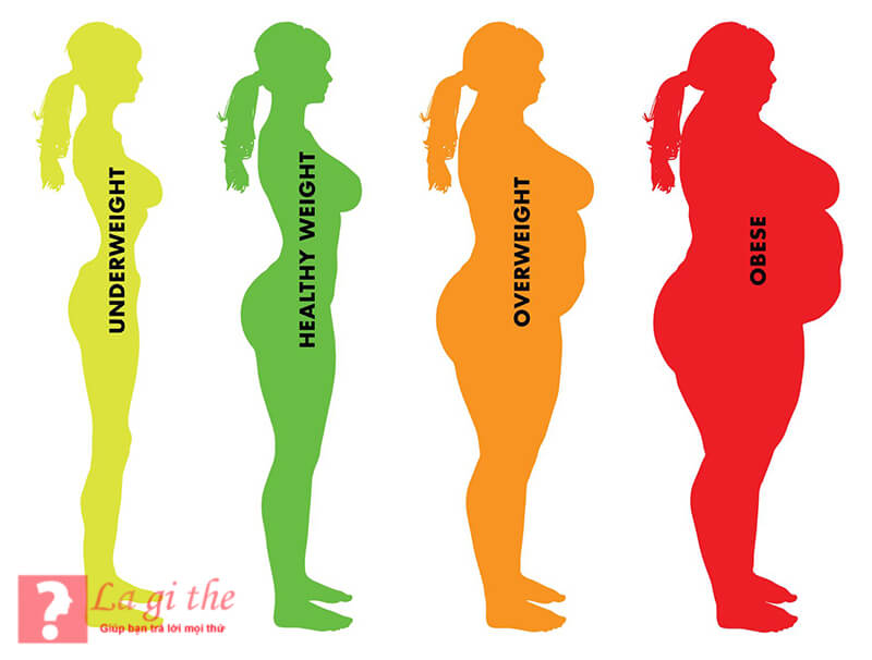 Chỉ số BMI thể hiện cơ thể bạn như thế nào