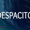 Ý nghĩa của bài hát despacito là gì trong tiếng Tây Ban Nha