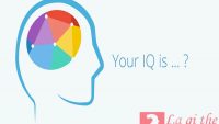IQ là gì? Cách tính chính xác chỉ số IQ của mỗi người