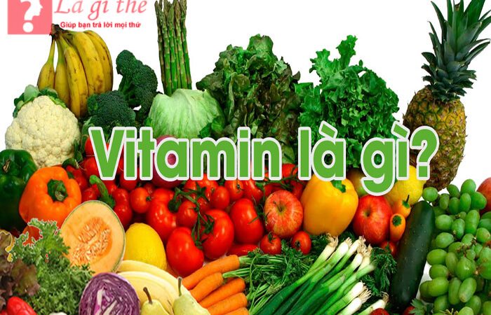 Vitamin là gì –  Gồm có những loại vitamin nào