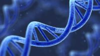 ADN tái tổ hợp là gì? Các phương pháp tạo nên ADN tái tổ hợp